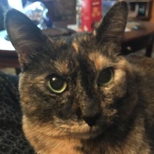 Meet your Posher, Laurie